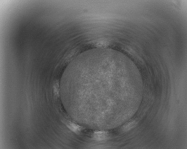 X0000071770240200607150036