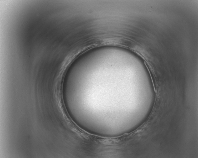 X0000071770241200607150035