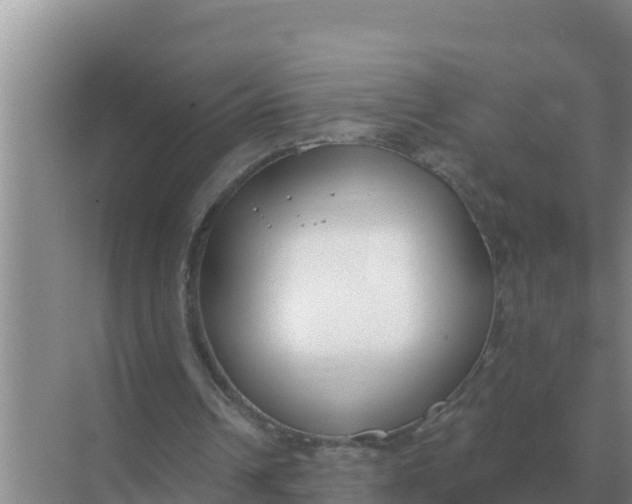 X0000071770242200607150035