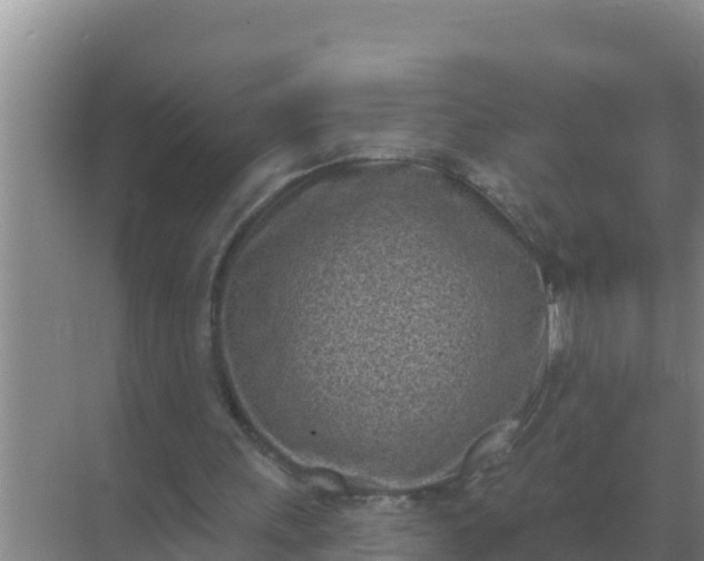 X0000071770243200607150035