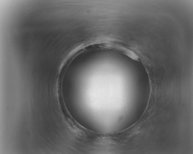 X0000071770244200607150035