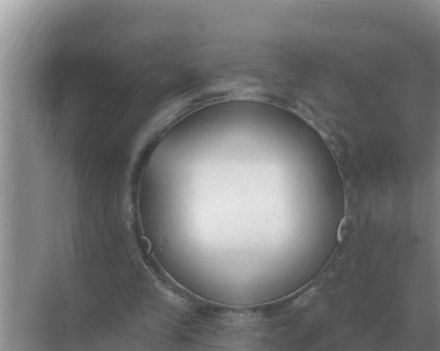 X0000071770245200607150036