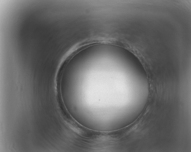 X0000071770246200607150036