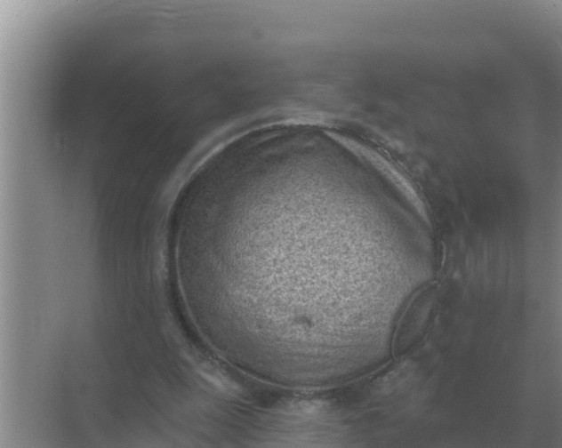 X0000071770247200607150036