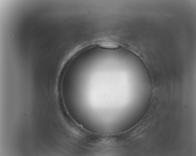 X0000071770248200607150036