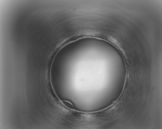 X0000071770249200607150036