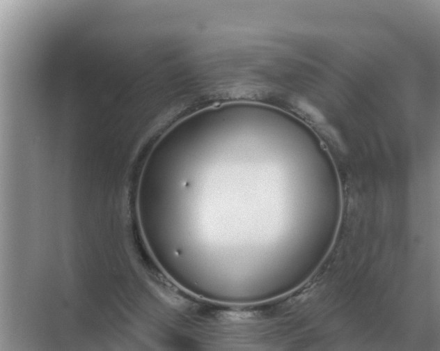 X0000071770250200607150036