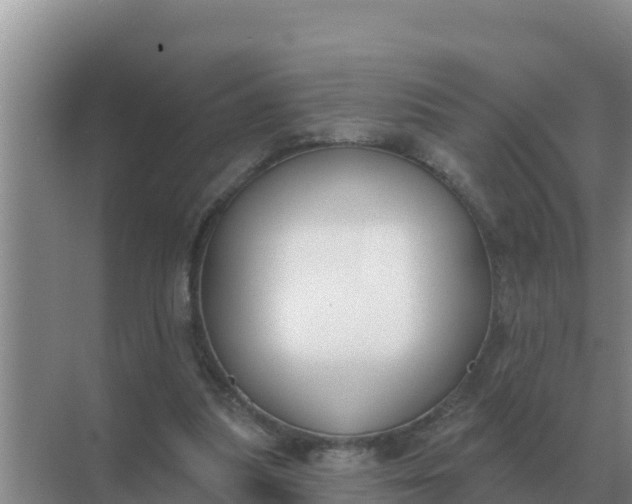 X0000071770251200607150036