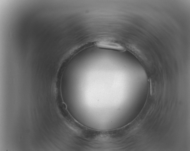 X0000071770252200607150036