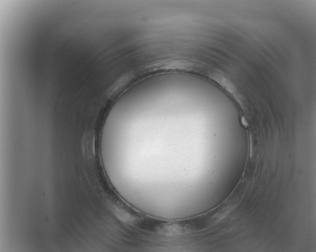 X0000071770253200607150036