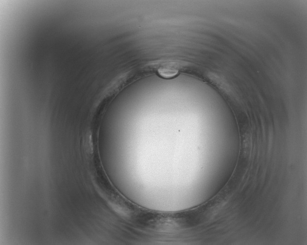 X0000071770254200607150036