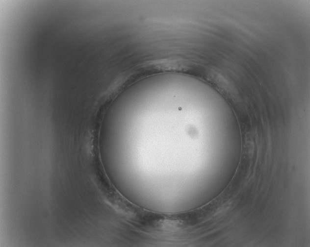 X0000071770255200607150036