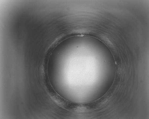 X0000071770256200607150036