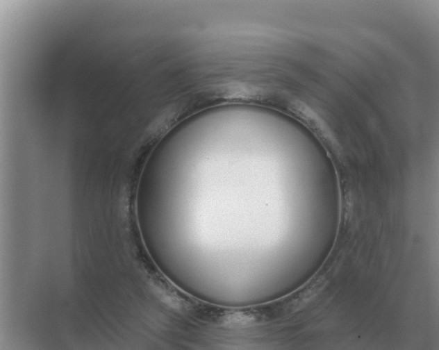 X0000071770257200607150036