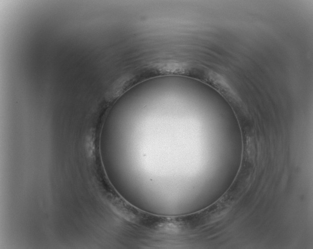 X0000071770259200607150036