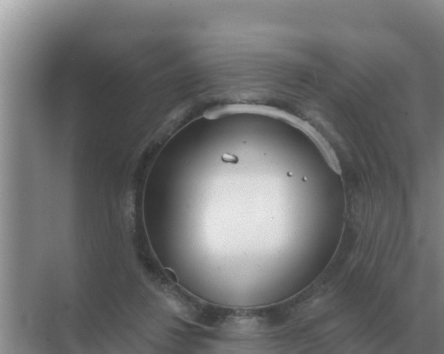 X0000071770260200607150036