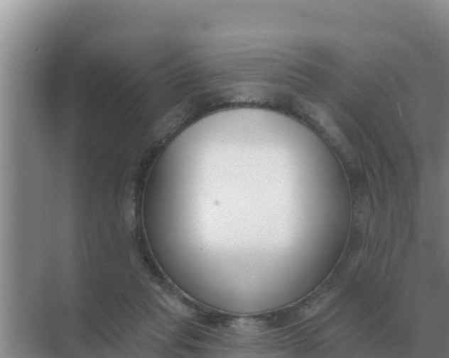 X0000071770261200607150036