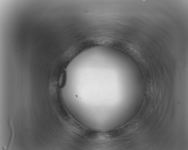 X0000071770263200607150036