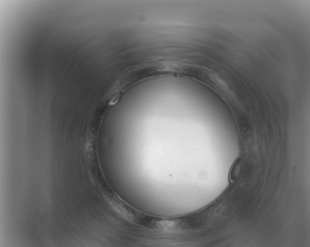 X0000071770265200607150036