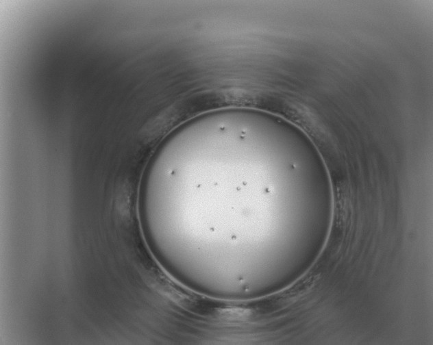 X0000071770266200607150036