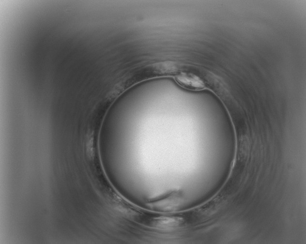 X0000071770267200607150036