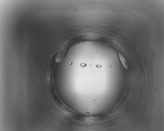 X0000071770268200607150036