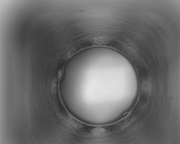 X0000071770271200607150036