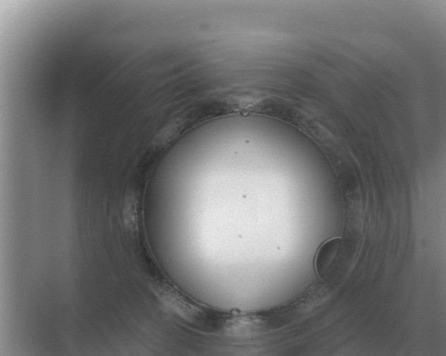 X0000071770274200607150036