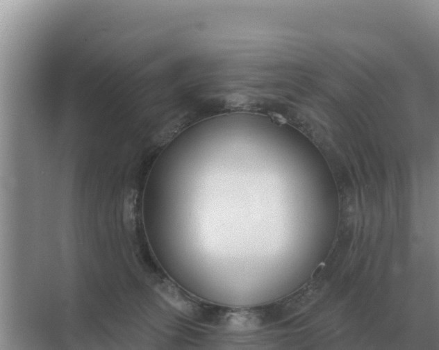 X0000071770275200607150036