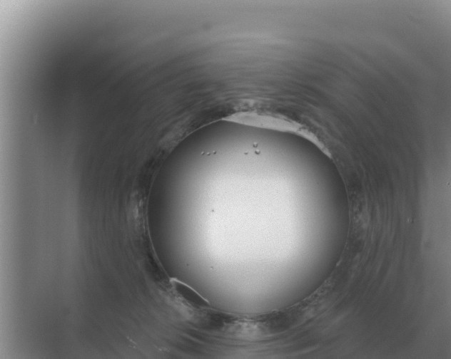 X0000071770276200607150036