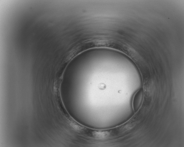 X0000071770277200607150036