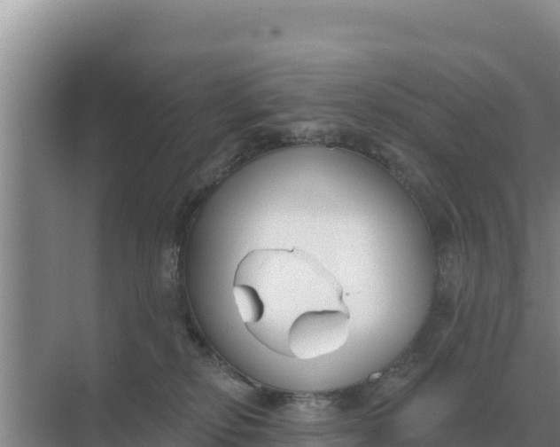 X0000071770278200607150036