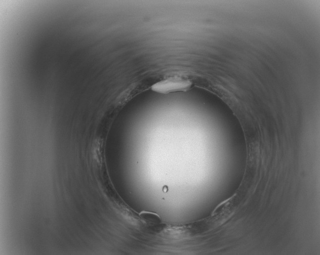 X0000071770280200607150036