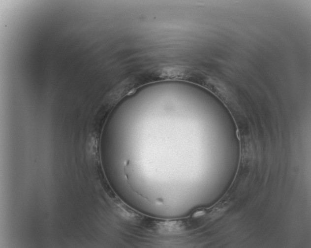 X0000071770281200607150036