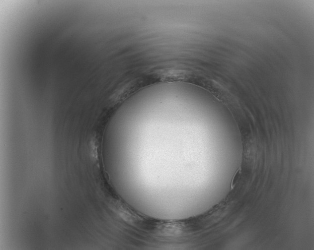 X0000071770282200607150036