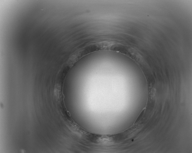 X0000071770283200607150036