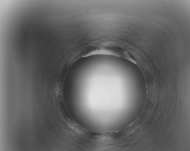 X0000071770284200607150036