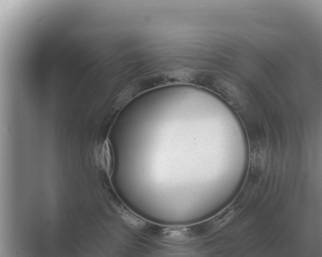 X0000071770285200607150036