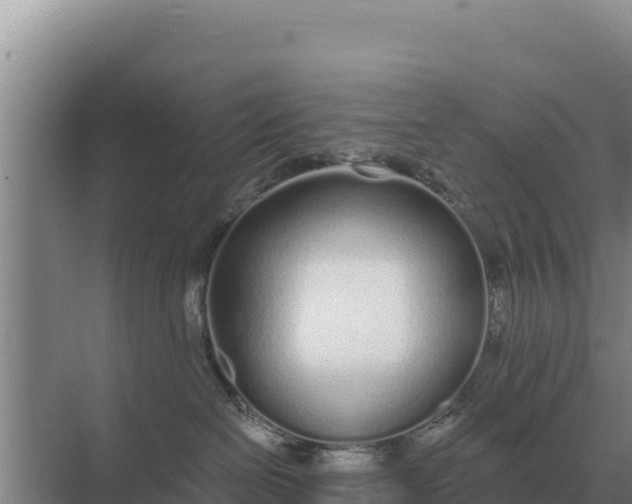 X0000071770286200607150036