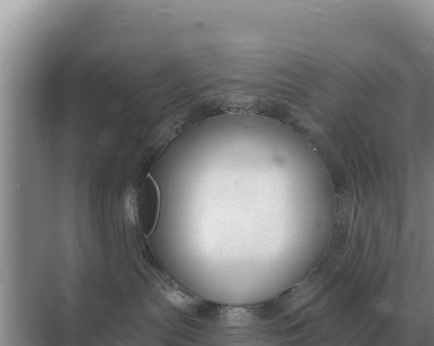 X0000071770287200607150036