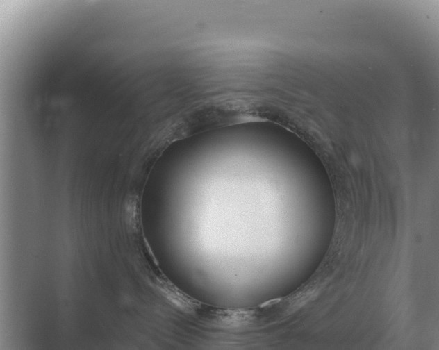 X0000071770288200607150036