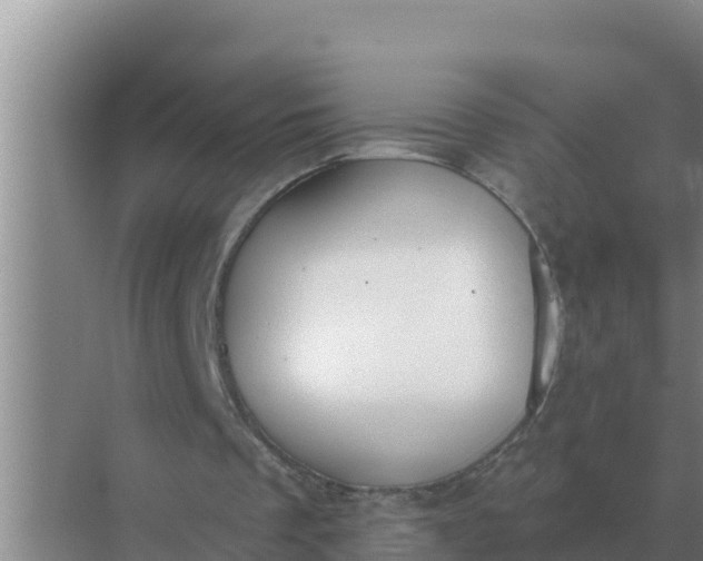 X0000071770289200607150035