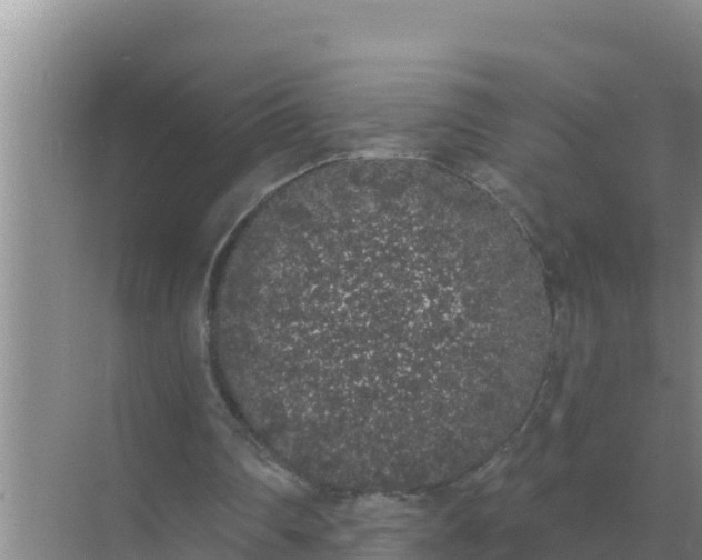 X0000071770290200607150035