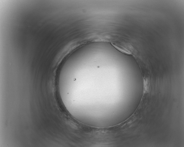 X0000071770291200607150035