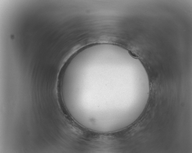 X0000071770292200607150035