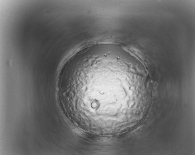 X0000071770293200607150035