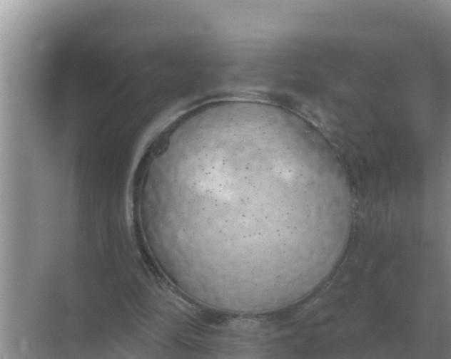 X0000071770294200607150035