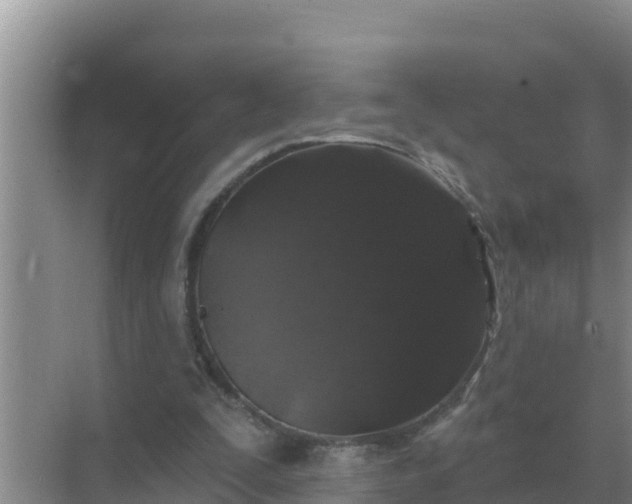 X0000071770295200607150035