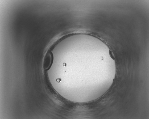 X0000071770296200607150035