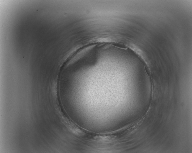 X0000071770297200607150035